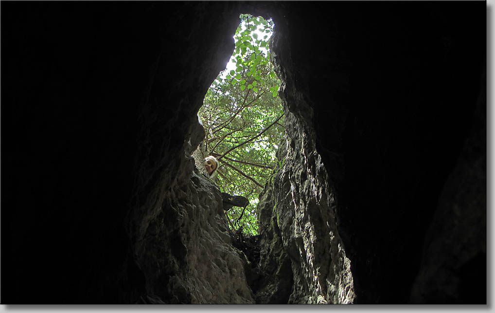 (c) Th.Gramanitsch 2014