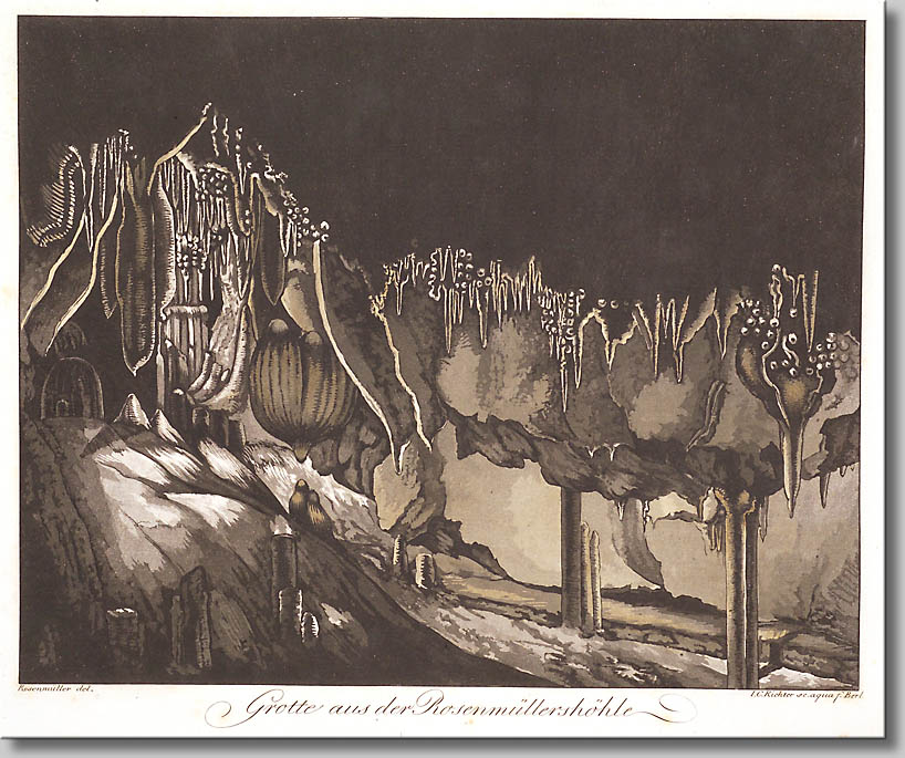 ROSENMÜLLER 1795 ROSENMÜLLER 1795