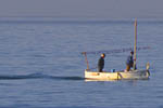 Fishing-boat - Platja de Palma  - click to enlarge