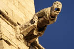 Gargoyles at La Seu - click to enlarge