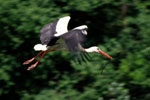 Airborne again - click to enlarge