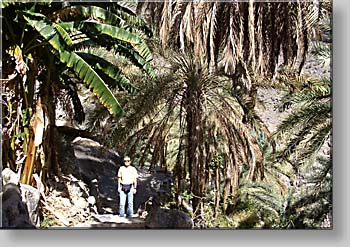 at Misfah al-Ibriyeen