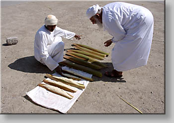 selling date blossoms at Sohars Friday Souq selling date blossoms at Sohars Friday Souq