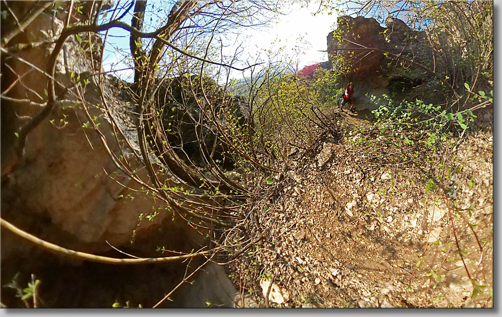 (c) Th.Gramanitsch 2021