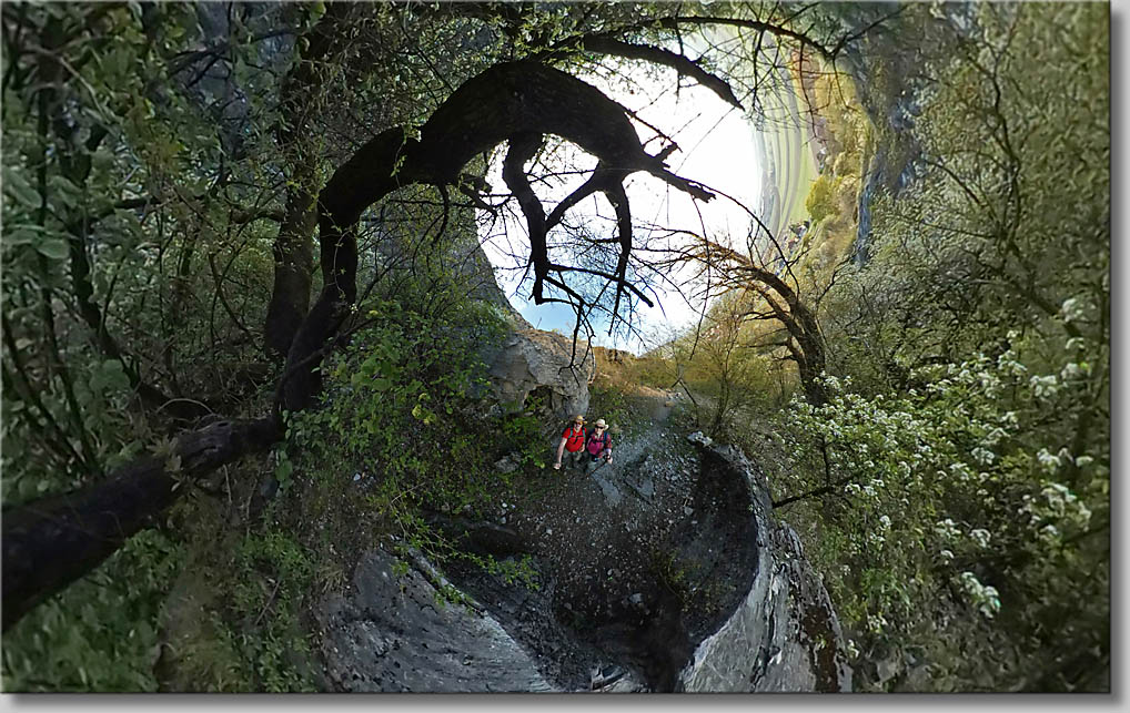 (c) Th.Gramanitsch 2021