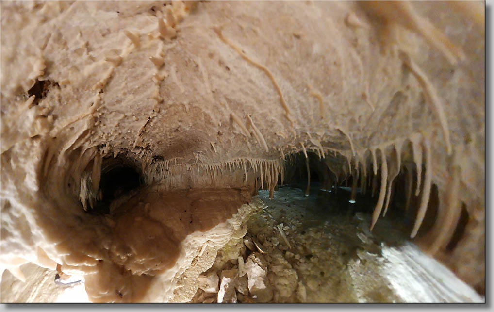 (c) Th.Gramanitsch 2020