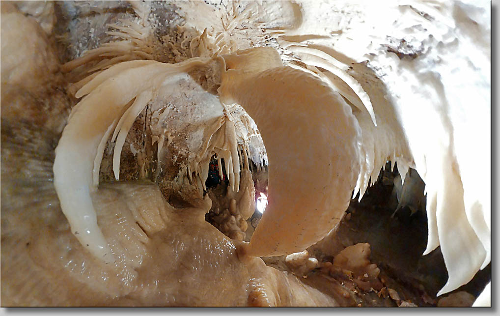 (c) Th.Gramanitsch 2020