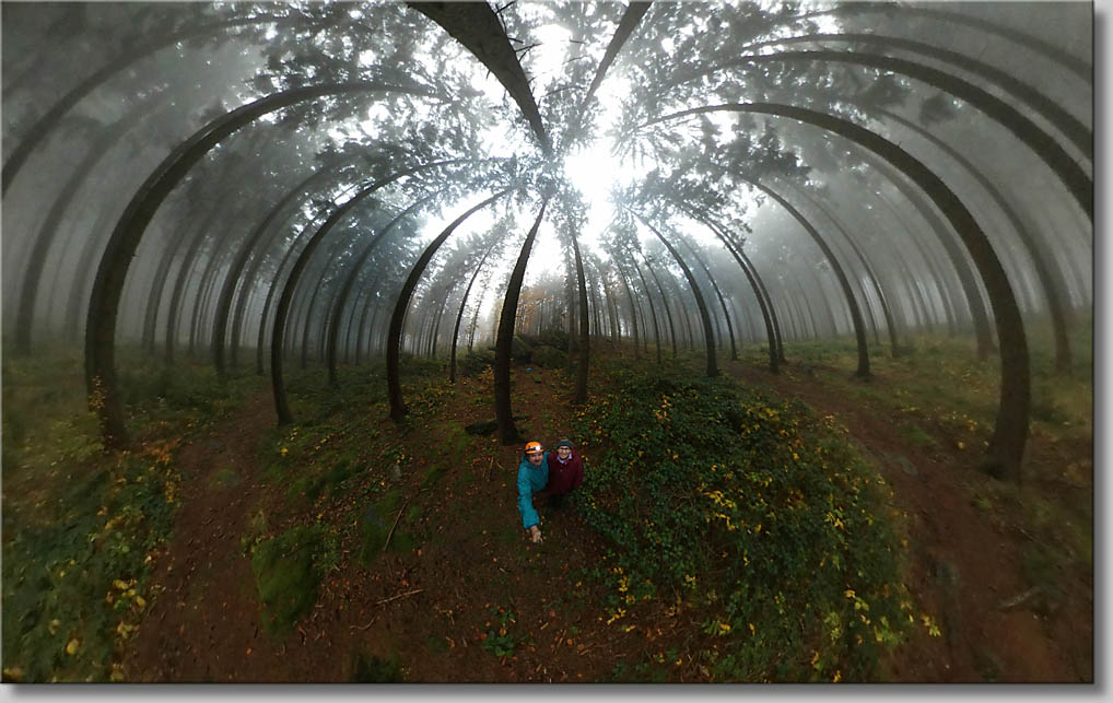 (c) Th.Gramanitsch 2019