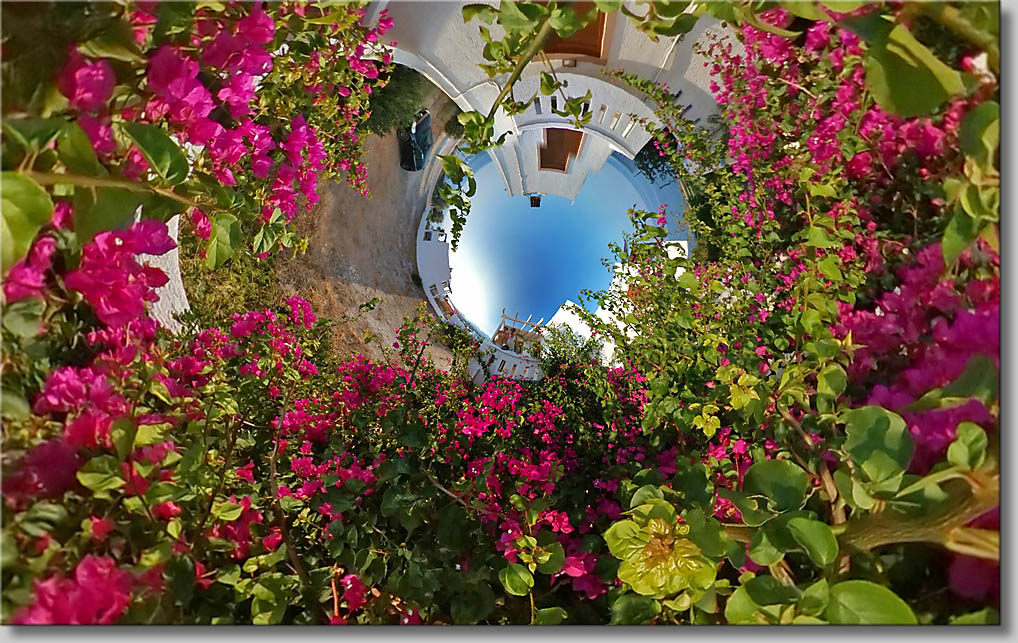 (c) Th.Gramanitsch 2019 (c) Th.Gramanitsch 2019