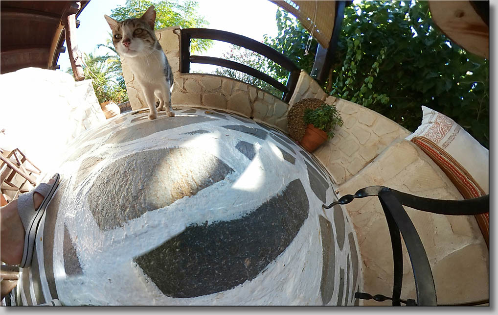 (c) Th.Gramanitsch 2019 (c) Th.Gramanitsch 2019