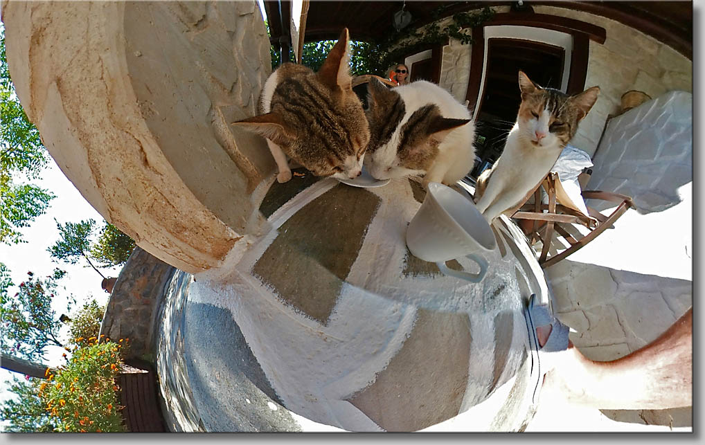 (c) Th.Gramanitsch 2019 (c) Th.Gramanitsch 2019