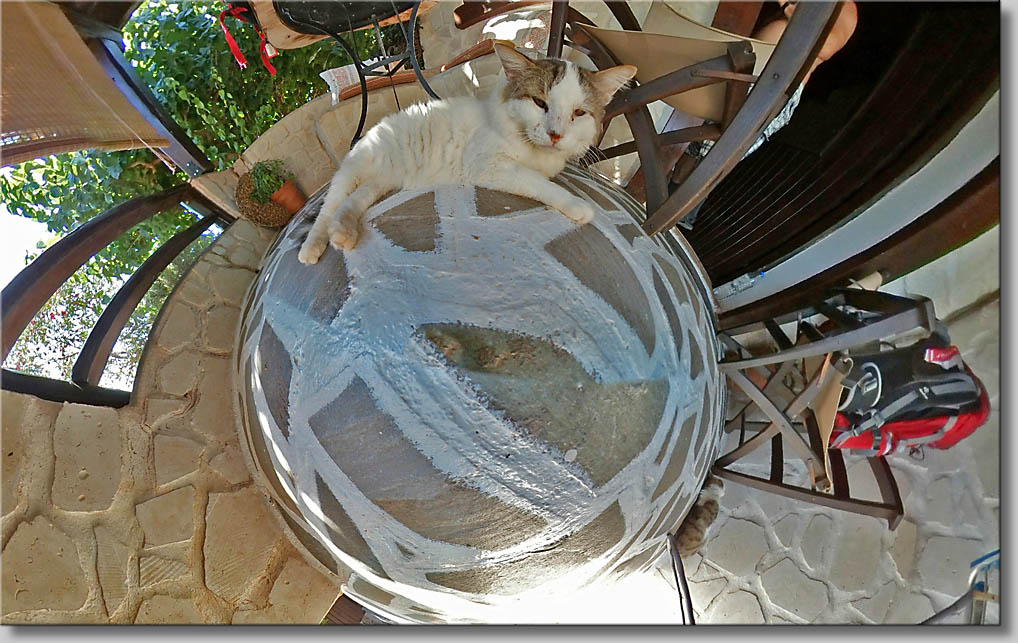 (c) Th.Gramanitsch 2019 (c) Th.Gramanitsch 2019