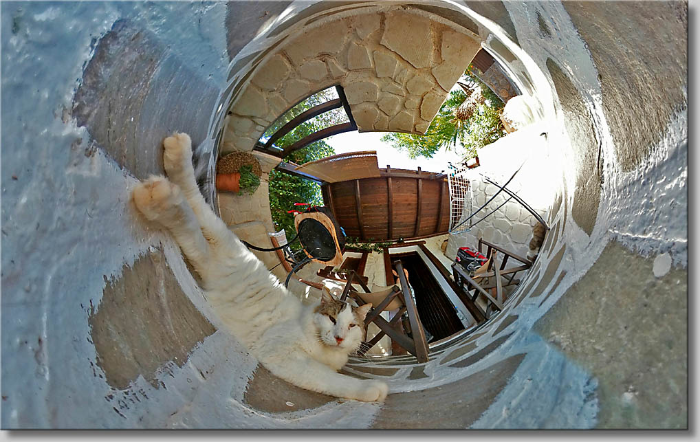 (c) Th.Gramanitsch 2019 (c) Th.Gramanitsch 2019