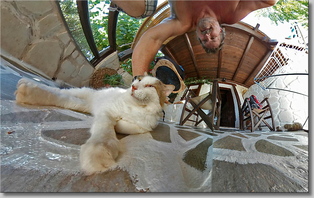 (c) Th.Gramanitsch 2019 (c) Th.Gramanitsch 2019