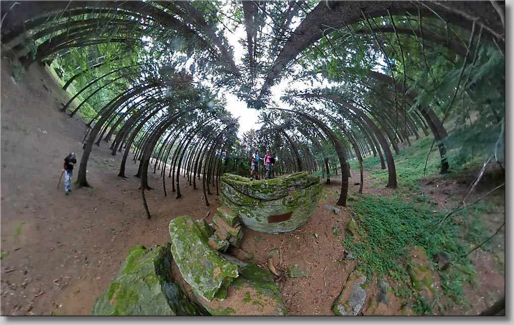 (c) Th.Gramanitsch 2019 (c) Th.Gramanitsch 2019