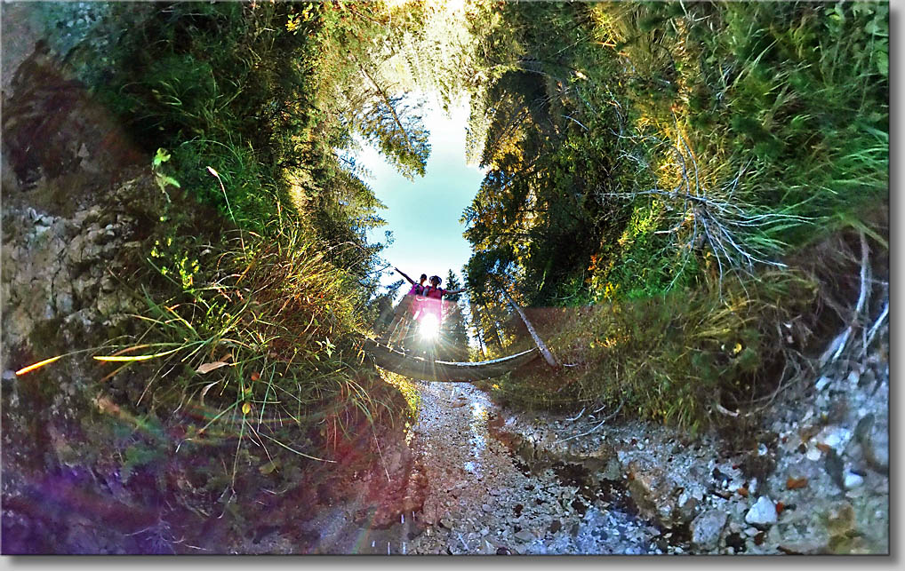 (c) Th.Gramanitsch 2019 (c) Th.Gramanitsch 2019