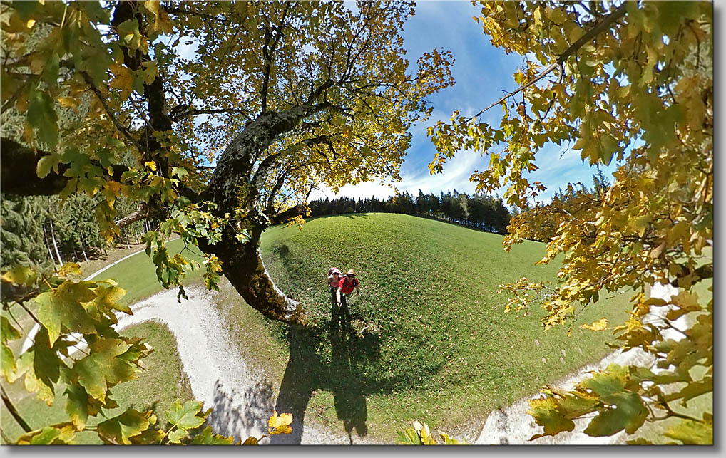 (c) Th.Gramanitsch 2019 (c) Th.Gramanitsch 2019