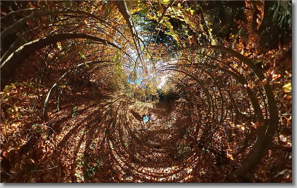 (c) Th.Gramanitsch 2019 (c) Th.Gramanitsch 2019