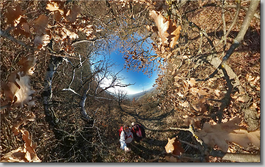 (c) Th.Gramanitsch 2020 (c) Th.Gramanitsch 2020