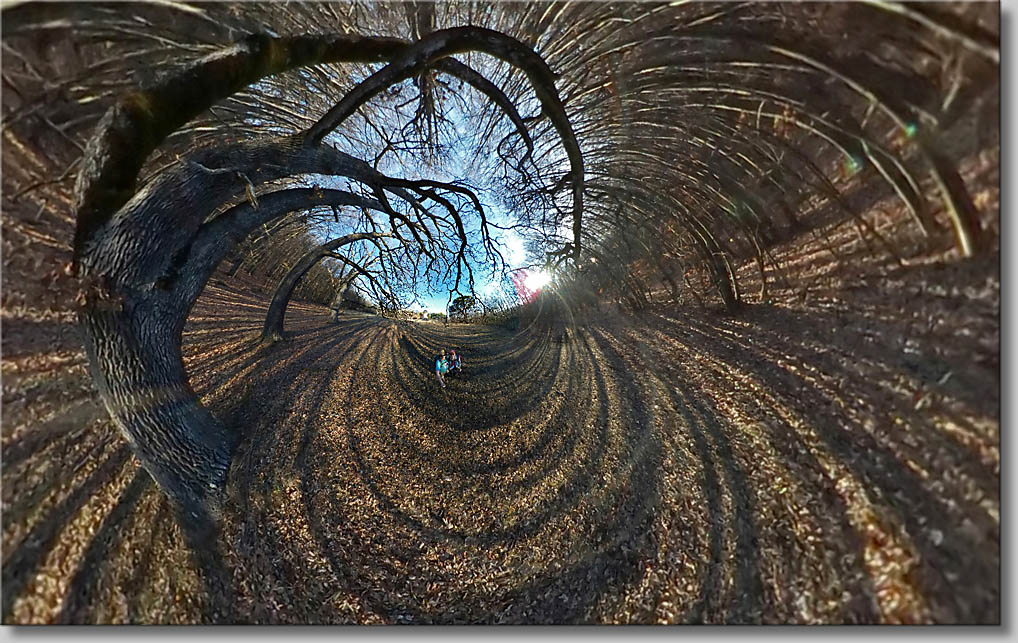 (c) Th.Gramanitsch 2020 (c) Th.Gramanitsch 2020