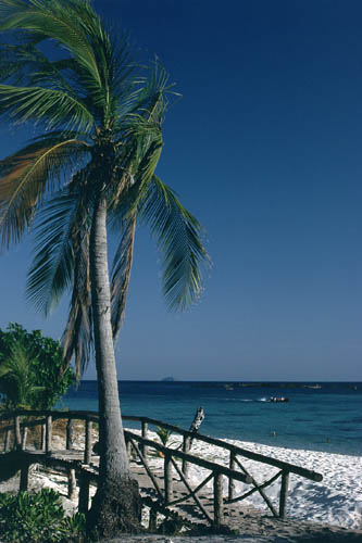 Pee Pee Paradise Pearl - Haad Yao - Ko Pee Pee Don - click to go to next image