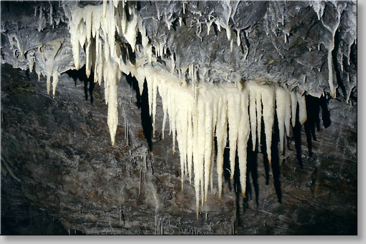 (c) A.Eichinger 1989 - click to go to next image (c) A.Eichinger 1989 - click to go to next image