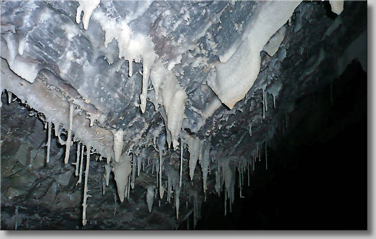 (c) Th.Gramanitsch 2009 - click to go to next image (c) Th.Gramanitsch 2009 - click to go to next image