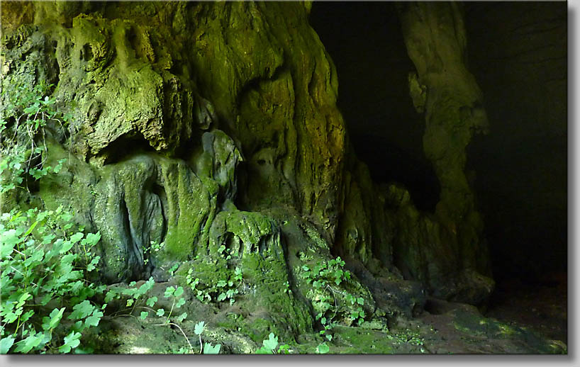 click to go to next webpage - (c) S.Wendelin 2011 click to go to next webpage - (c) S.Wendelin 2011