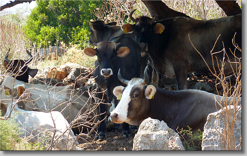 click to go to next webpage - (c) Th.Gramanitsch 2011 click to go to next webpage - (c) Th.Gramanitsch 2011