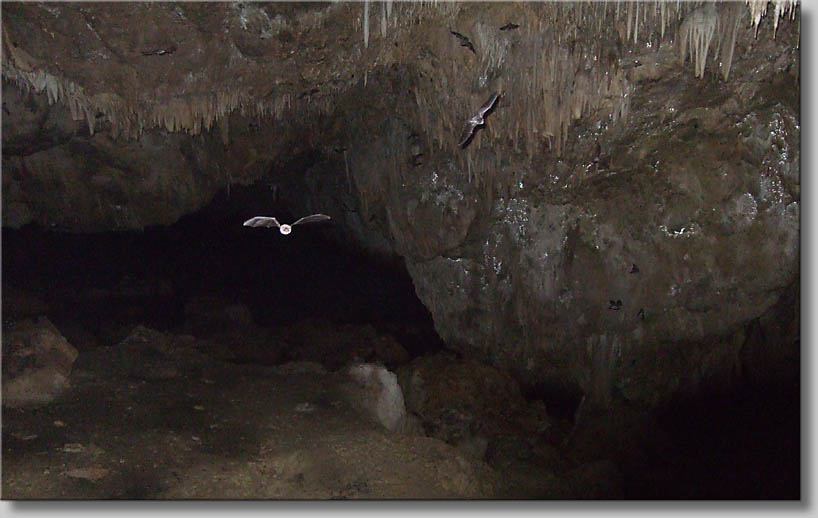 click to go to next webpage - (c) Th.Zwach 2009 click to go to next webpage - (c) Th.Zwach 2009