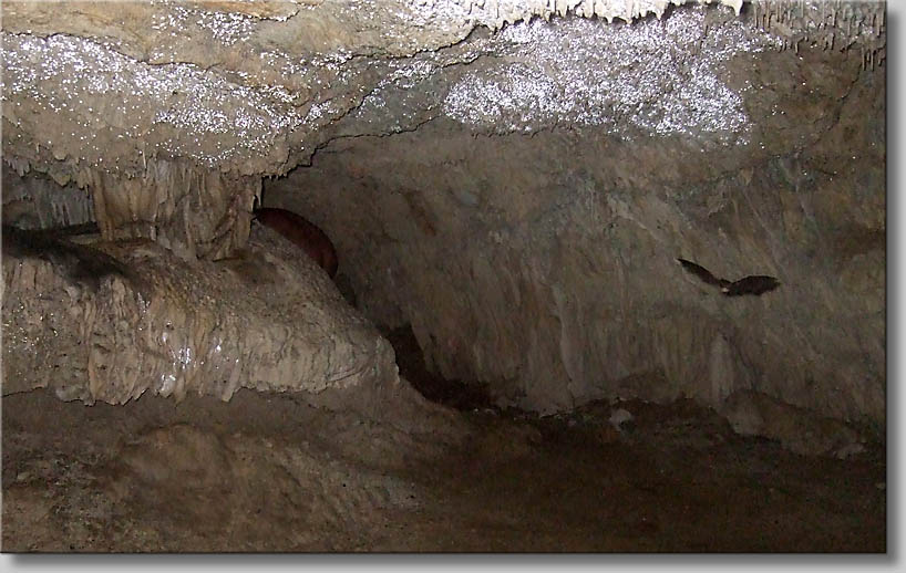 click to go to next webpage - (c) Th.Zwach 2009 click to go to next webpage - (c) Th.Zwach 2009