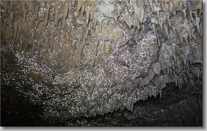 click to go to next webpage - (c) Th.Zwach 2009 click to go to next webpage - (c) Th.Zwach 2009