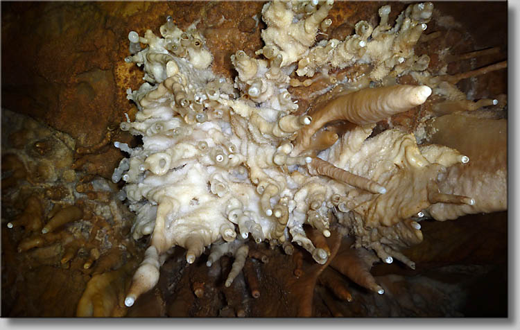 click to go to next webpage - (c) Th.Gramanitsch 2010 click to go to next webpage - (c) Th.Gramanitsch 2010