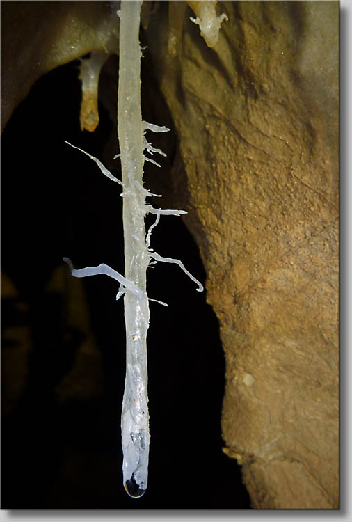 click to go to next webpage - (c) Th.Gramanitsch 2010 click to go to next webpage - (c) Th.Gramanitsch 2010