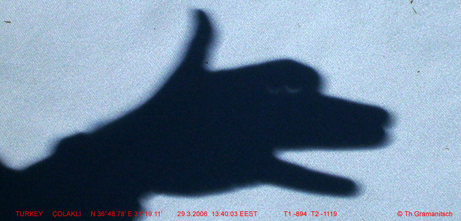 the eyes of the dog showed the advanced partial phase of the eclipse