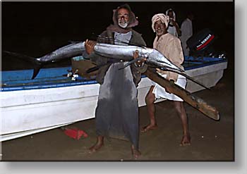 fishermen at Al-Sawadi