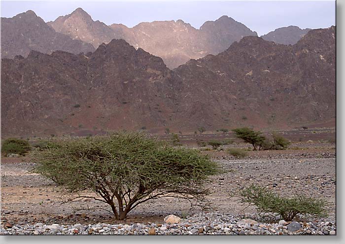 ophiolitic mountains between Nakhl and Rustaq