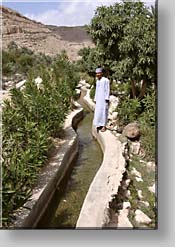 with Ya'qoub at a Falaj at Wadi Bani Khalid