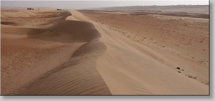 at Ramlat al-Wahiba - Wahiba Sands