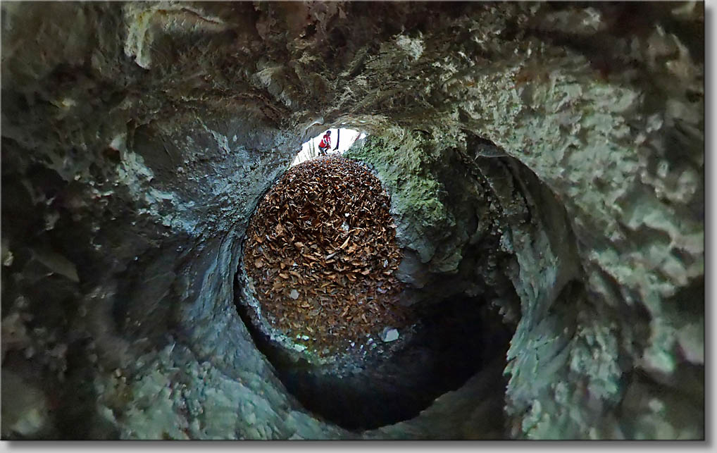 (c) Th.Gramanitsch 2021