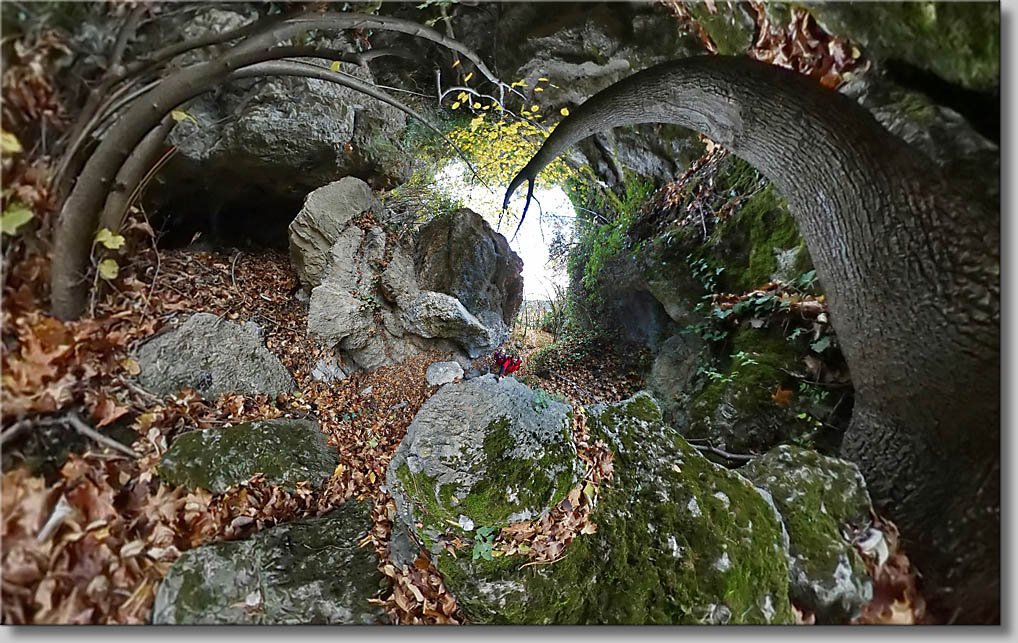 (c) Th.Gramanitsch 2019